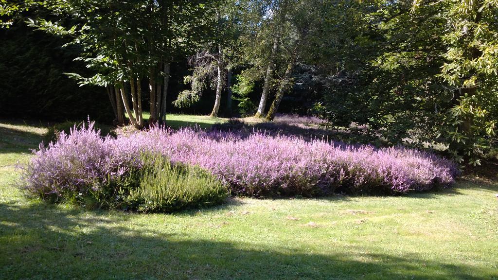 Chambres D'Hotes Le Chalet Condat-sur-Vienne Exterior foto